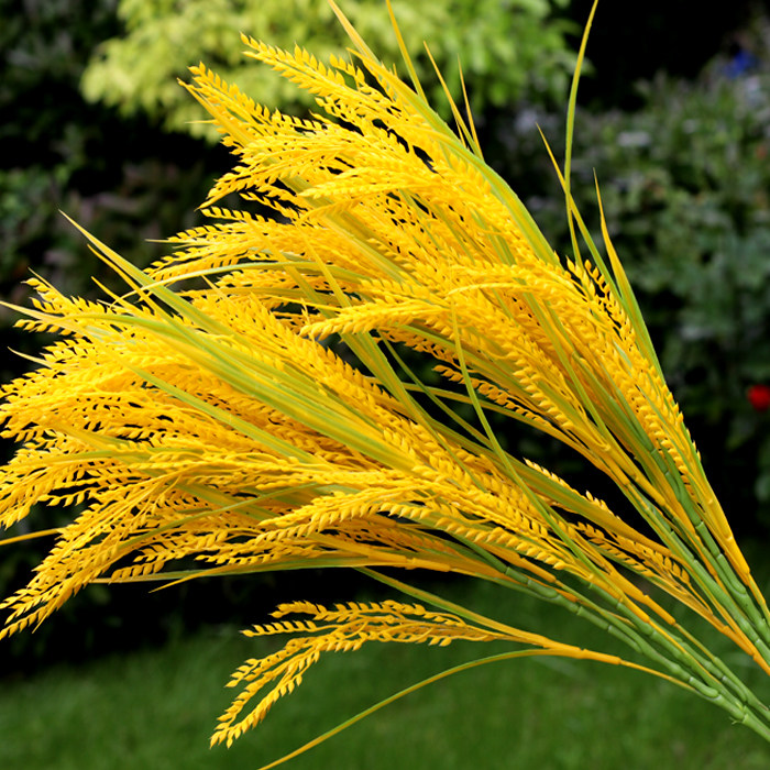 长5叉仿真麦穗道具禾苗 塑料稻谷 黄水稻金色长款稻穗  稻田模型