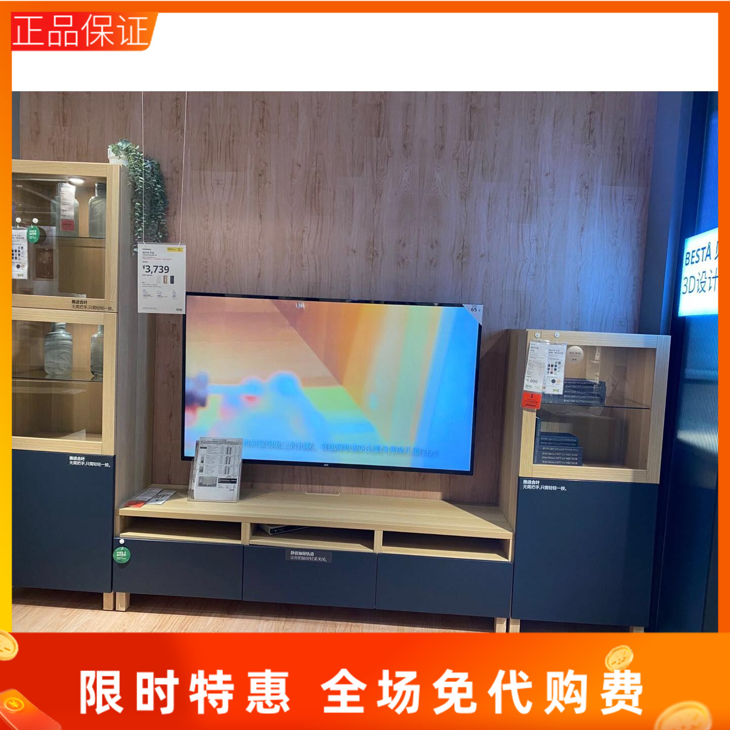 宜家客厅收纳带门电视柜