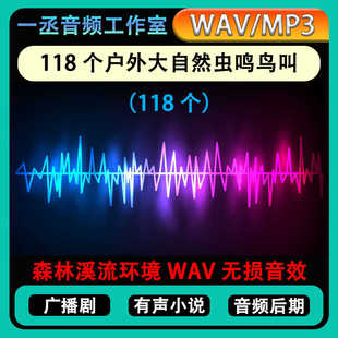 118个户外大自然虫鸣鸟叫森林溪流环境WAV无损音效