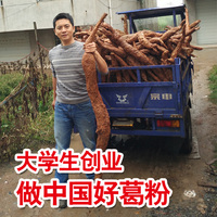 葛之味 野生葛根粉天然江西上饶农家新鲜老柴葛粉代餐500g送葛片