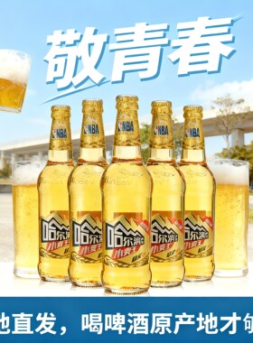 哈尔滨啤酒原产地发货 玻璃瓶小麦王熟啤原汁麦精酿500ml六瓶整箱
