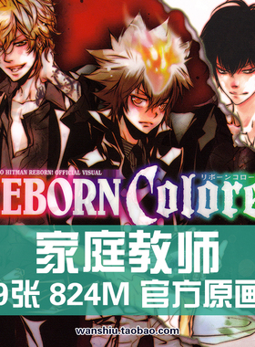 天野明家庭教师REBORN Colore设定集原画集线稿集动画美术素材图
