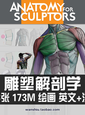 艺用人体结构肌肉表现雕塑解剖学绘画速写素描临摹参考素材资料图