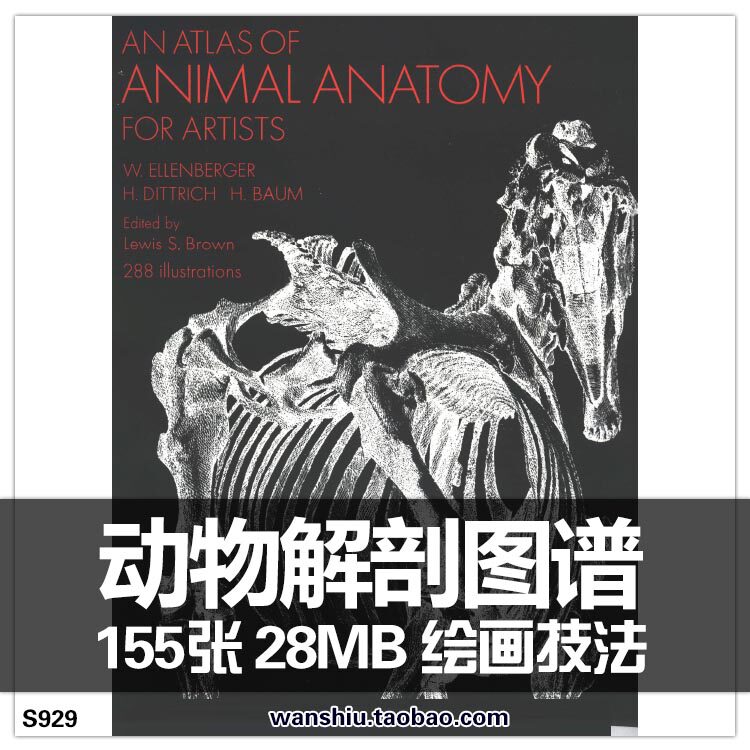 艺用动物解剖图谱素描 透视骨骼肌肉 cg素材 an atlas of animal