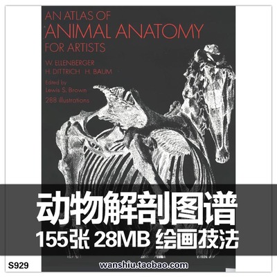 艺用动物解剖图谱素描 透视骨骼肌肉 CG素材 An Atlas of Animal