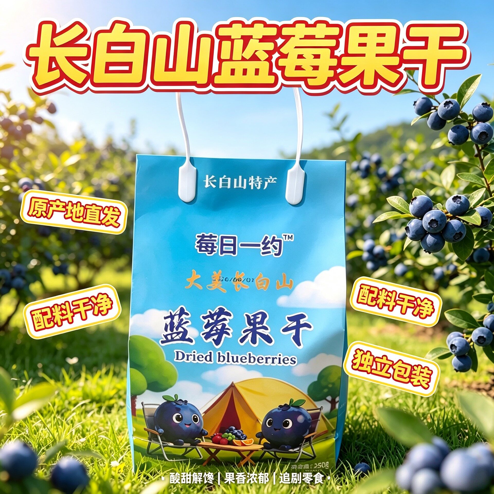 东北长白山特产蓝莓果干250g礼袋款独立包装配料干净送礼佳品