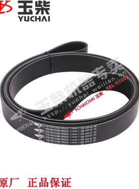 玉柴发动机原厂YC80-10PK-2210B皮带东风江淮福田乘龙客客货车