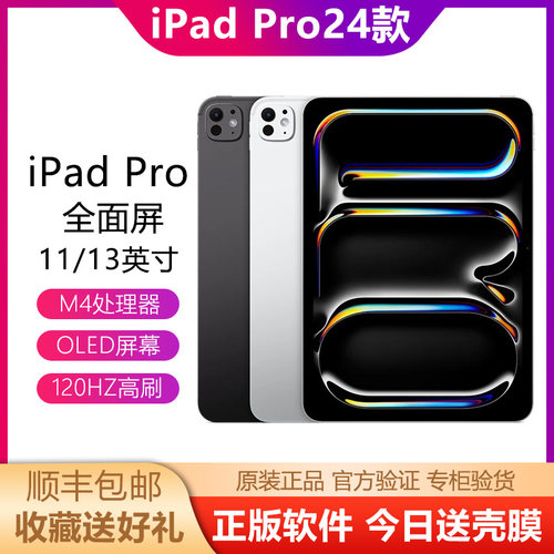 Apple/苹果iPadPro20242025