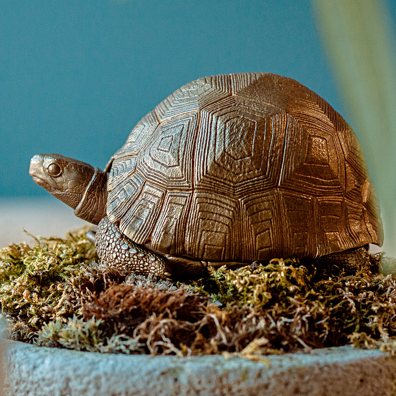 吾蟲原创铜乌龟收纳桌面摆件装饰品动物造型家居礼品送礼把玩精致,家居饰品,装饰摆件,淘宝优惠券,粉丝福利购,淘宝优惠卷