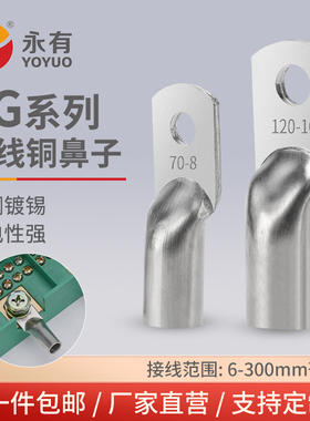 JG铜鼻子10平方/16/25/35/50-8-10-12船用铜线耳接线端子