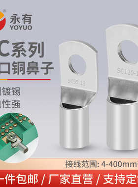 SC窥口铜线鼻子紫铜线耳冷压接线端子6/10/35/70/95/120/185平方