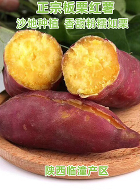 临潼板栗红薯新鲜蔬菜正宗陕西沙地瓜番薯栗子面红苕红皮白黄心甜
