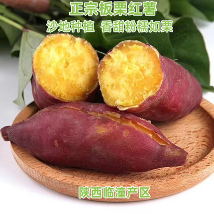 临潼板栗红薯新鲜蔬菜正宗陕西沙地瓜番薯栗子面红苕红皮白黄心