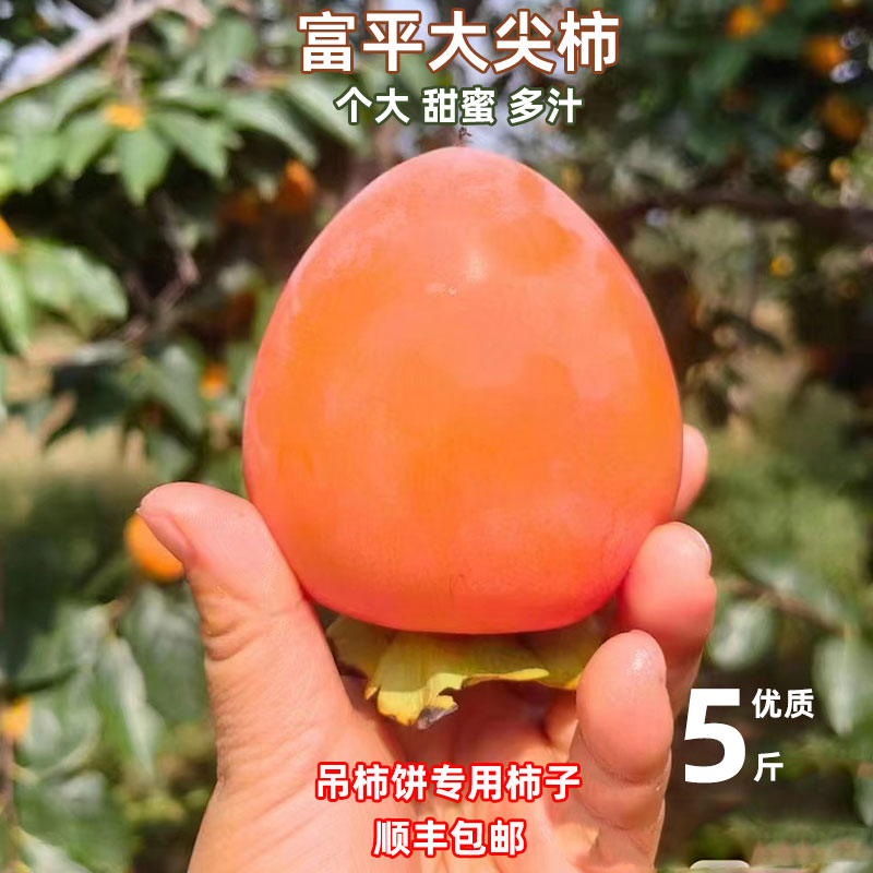 【超甜】【挂柿饼专用】富平尖柿