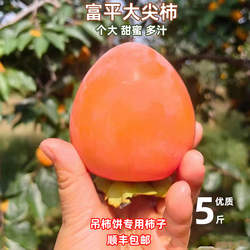 富平尖柿新鲜水果吊柿陕西富平当季挂柿饼专用超甜大柿子大果孕妇