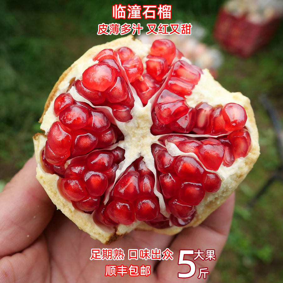 临潼石榴新鲜水果净皮甜陕西当季薄皮红籽一级果整箱大甜多汁时令