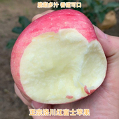 洛川苹果新鲜水果冰糖心红富士不打蜡优质2025当季 摘新货脆甜孕妇