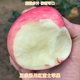 洛川苹果新鲜水果冰糖心红富士不打蜡优质2025当季 摘新货脆甜孕妇