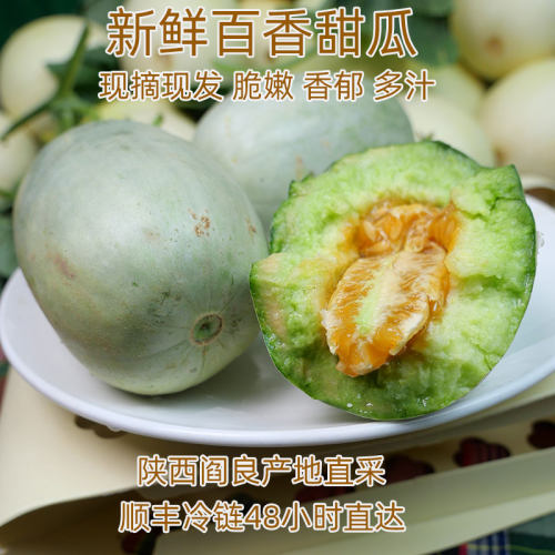 陕西阎良薄皮香百香甜瓜现摘顺丰