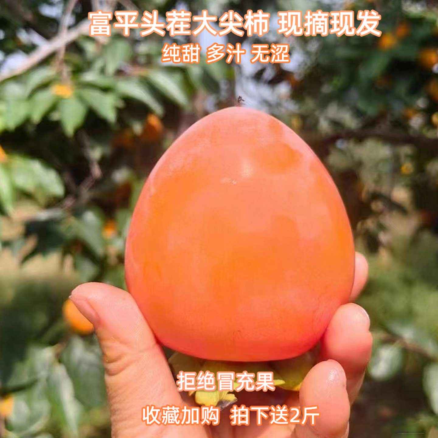 富平大尖柿新鲜现摘应季鲜果吊柿陕西特产软甜多汁当季挂柿饼专用