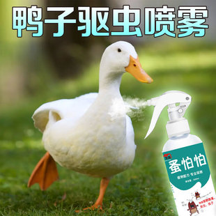 小鸭子驱虫喷雾除臭体外小鸡鹅柯尔鸭虱子跳蚤芦丁鸡去味宠物专用