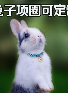 兔子项圈铃铛防走狗牌围脖装饰