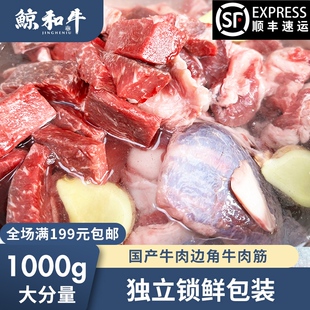 【鲸和牛】国产牛肉边角牛肉筋 红烧炖煮 1KG顺丰冷链