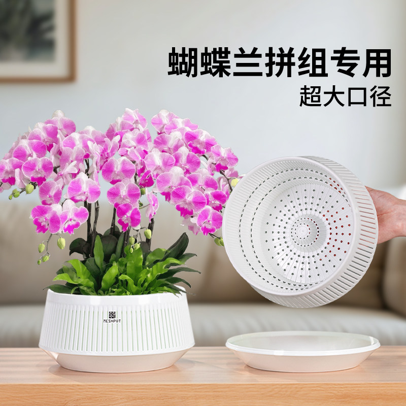 2025新款美莳蝴蝶兰拼组专用花盆大口径水苔轻奢高级感青山套盆
