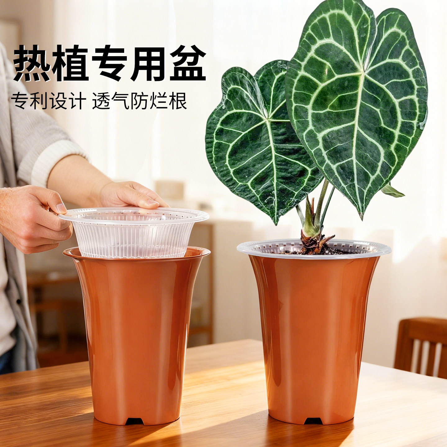 美莳热植专用控根花盆双层加高大号青山透气树脂塑料海芋花烛套盆图片