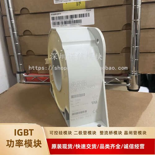 全新传感器ESM2000-9983