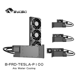 显卡一体式 FRD P100 水冷 TESLA Bykski