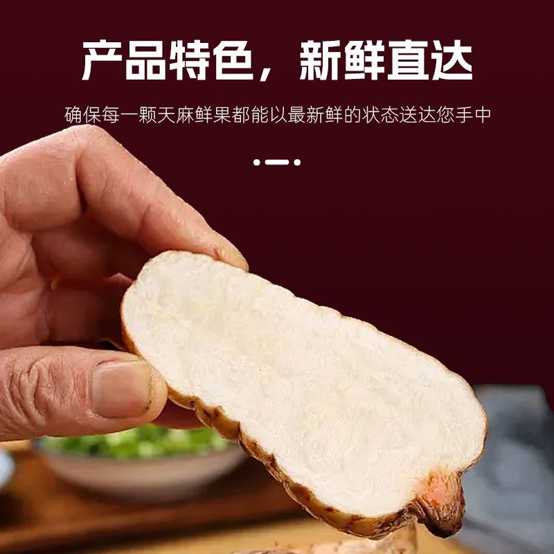 生天麻冬麻新鲜天麻生天麻干天麻非云南昭通小草坝天麻5-7个每斤