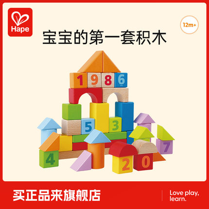 Hape40粒益智积木拼装玩具1岁男女孩婴幼儿宝宝木制早教儿童启蒙