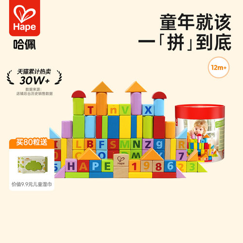 hape80粒积木大颗粒玩具0-3岁
