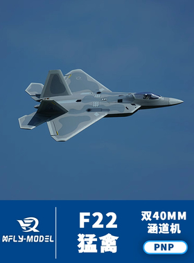 XFly 迅飞 Twin 40mm F-22 Raptor 猛禽 4S电动涵道模型遥控飞机