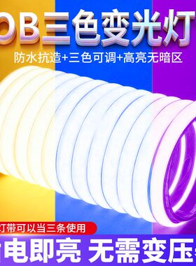 COB三色变光灯带led软灯条220V超亮客厅吊吸顶自粘驱动自粘氛围