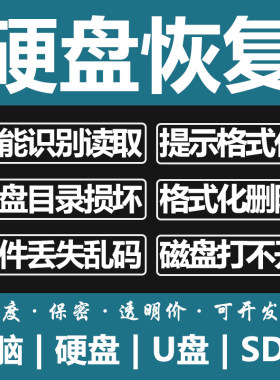 电脑固态移动硬盘数据恢复U盘维修内存SD卡照片文件远程修复服务