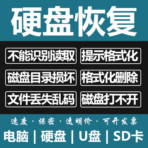 电脑固态移动硬盘数据恢复U盘维修内存SD卡照片文件远程修复服务