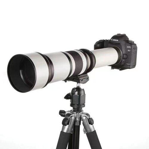 650-1300mm镜头远摄佳能打鸟