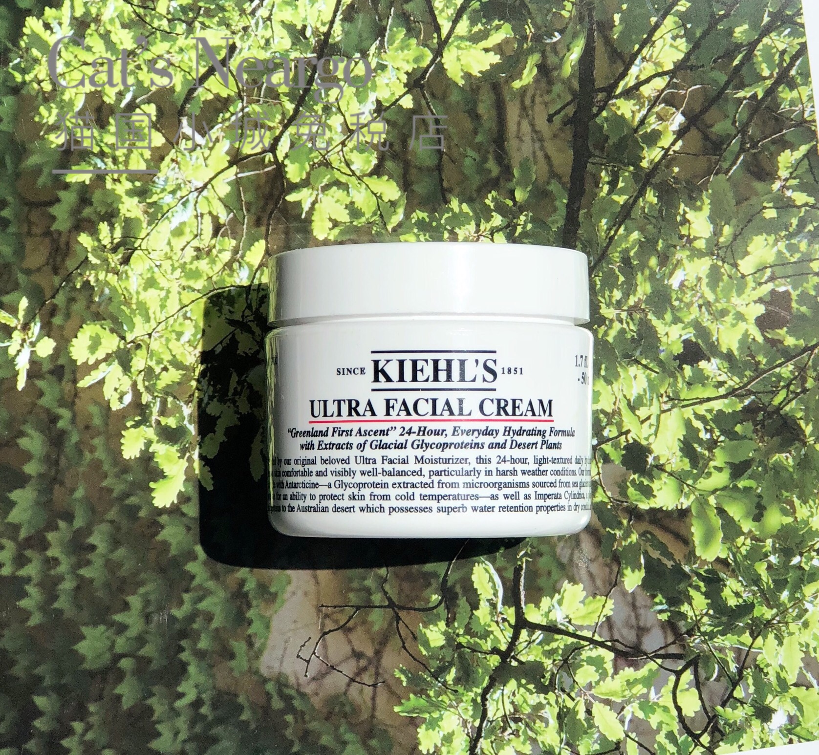 Kiehl's/¿ÆÑÕÊϸ߱£ÊªÃæËª50ml½ÇöèÍéÇåˬ²¹Ë®±£Êª