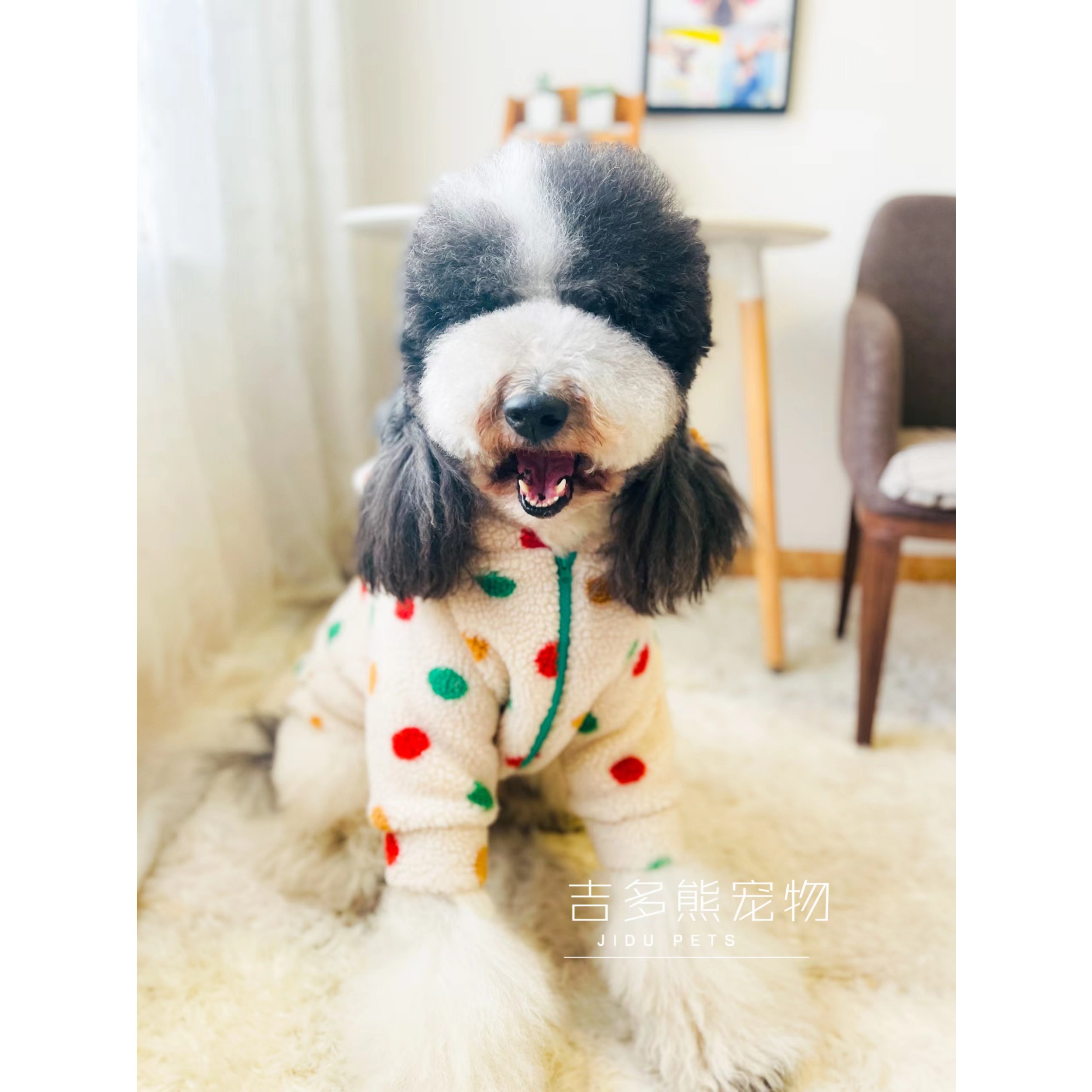 宠物衣服羊羔绒超厚防冻可爱点点