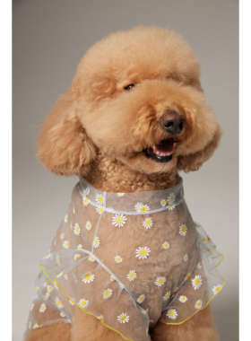 宠物狗狗衣服夏季薄款网纱背心防晒防掉毛透明透气花朵巨贵雪纳瑞