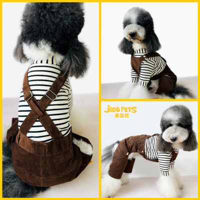 吉多熊大狗小狗都能穿潮搭背带裤