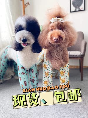 宠物狗狗防脏防尿神器腿套