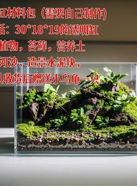 生态水陆桌面鱼缸真绿植办公造景全套家用景观流水养乌龟蜗牛宠物