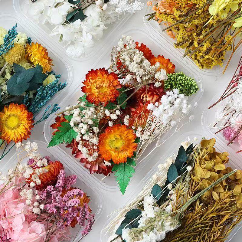永生干花材料包节日活动花艺制品贴画diy零散永生花干花花材混装