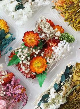 永生干花材料包节日活动花艺制品贴画diy零散永生花干花花材混装