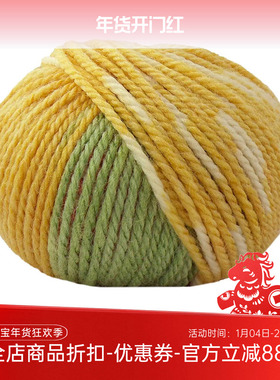 lana gatto 进口羊毛亚克力混纺段染线 ASIAN 手编毛线 50克91米