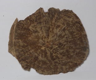 海南天然野生黎母山老料沉香铁顶香味浓郁 宽9.5长11.3cm重7.9克