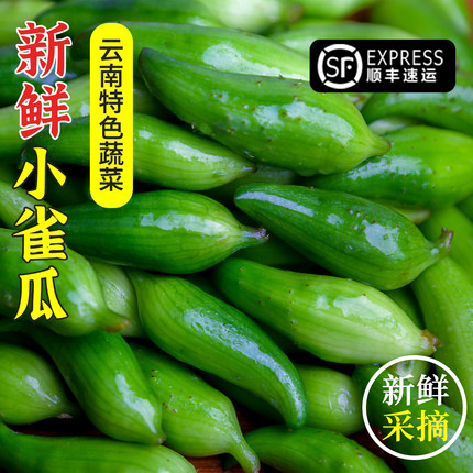 小角瓜云南小雀瓜新鲜小刺瓜现摘小金瓜小脚瓜蔬菜腾冲野菜小刺瓜